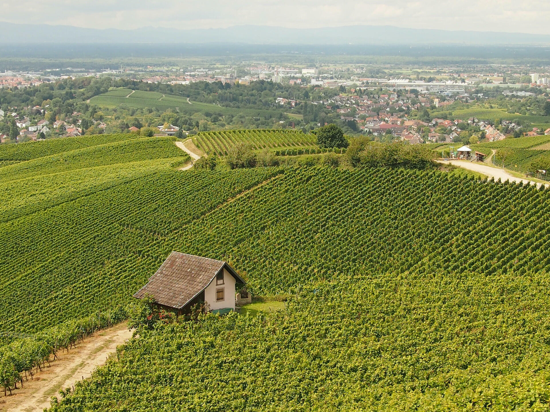 Ausflug mit einem echten Buschflugzeug