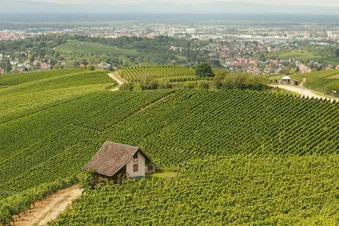 Ausflug mit einem echten Buschflugzeug
