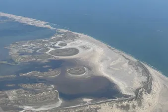 Une escapade en Camargue