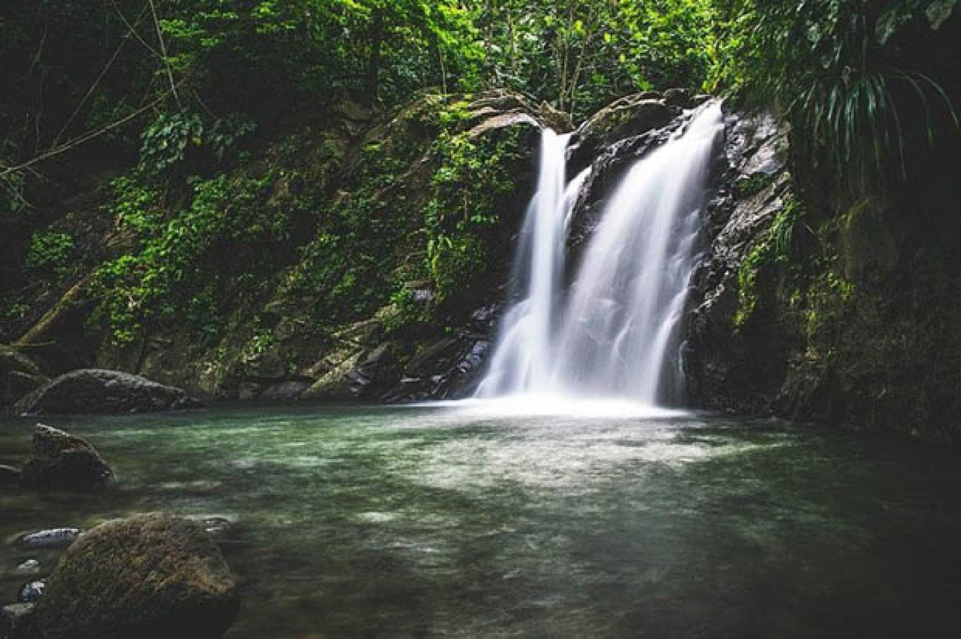 🌼🌹 Aller-Retour en Guadeloupe 🎉