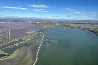 Promenade aérienne en Camargue