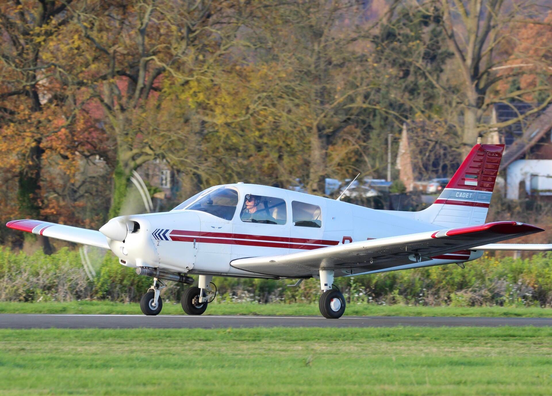Piper Cadet