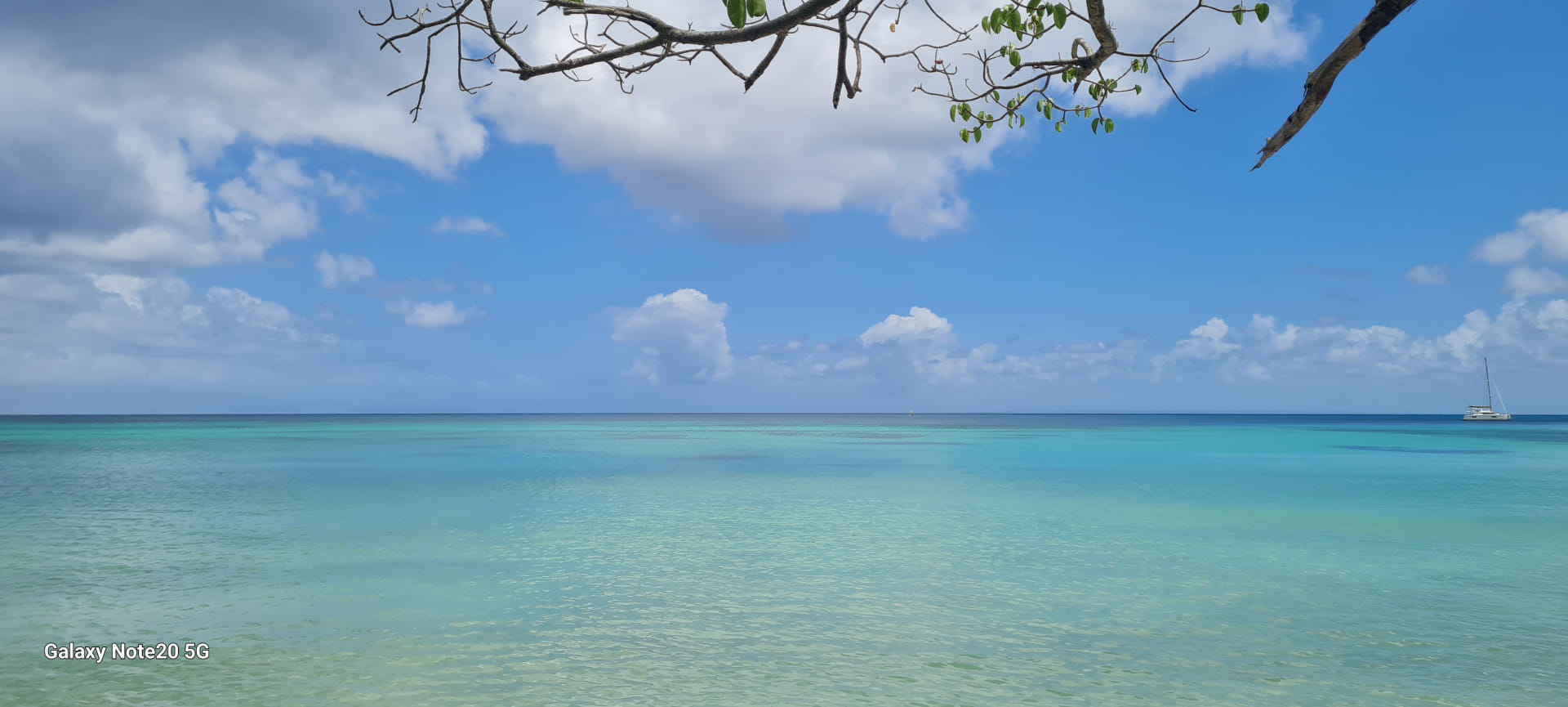 Découvrir Marie Galante