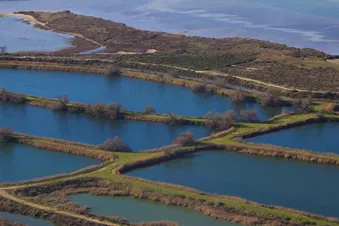 Côte bleue, Camargue et pause à Montpellier