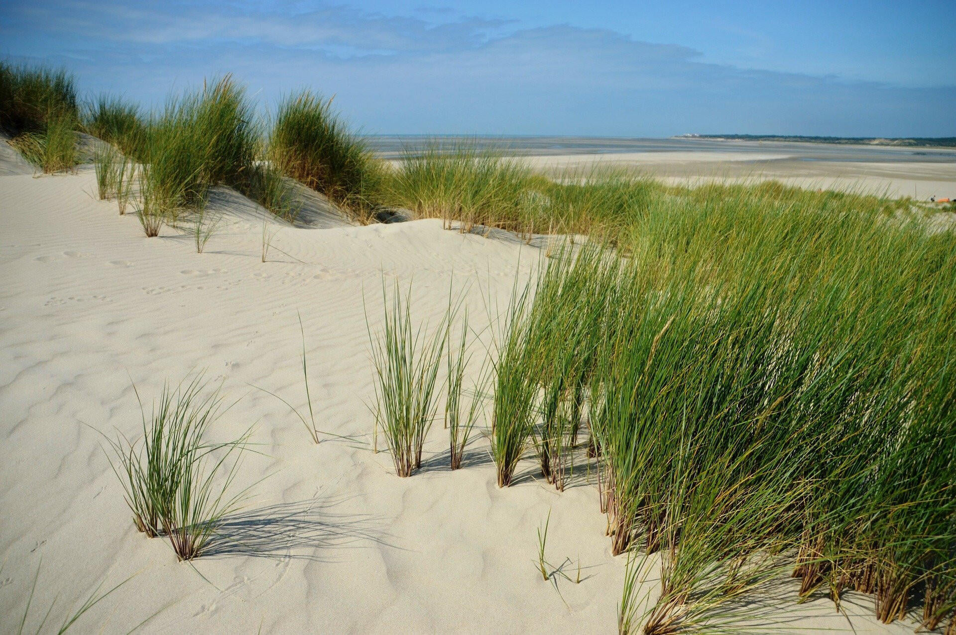 Excursion flight: Trip to Northern France