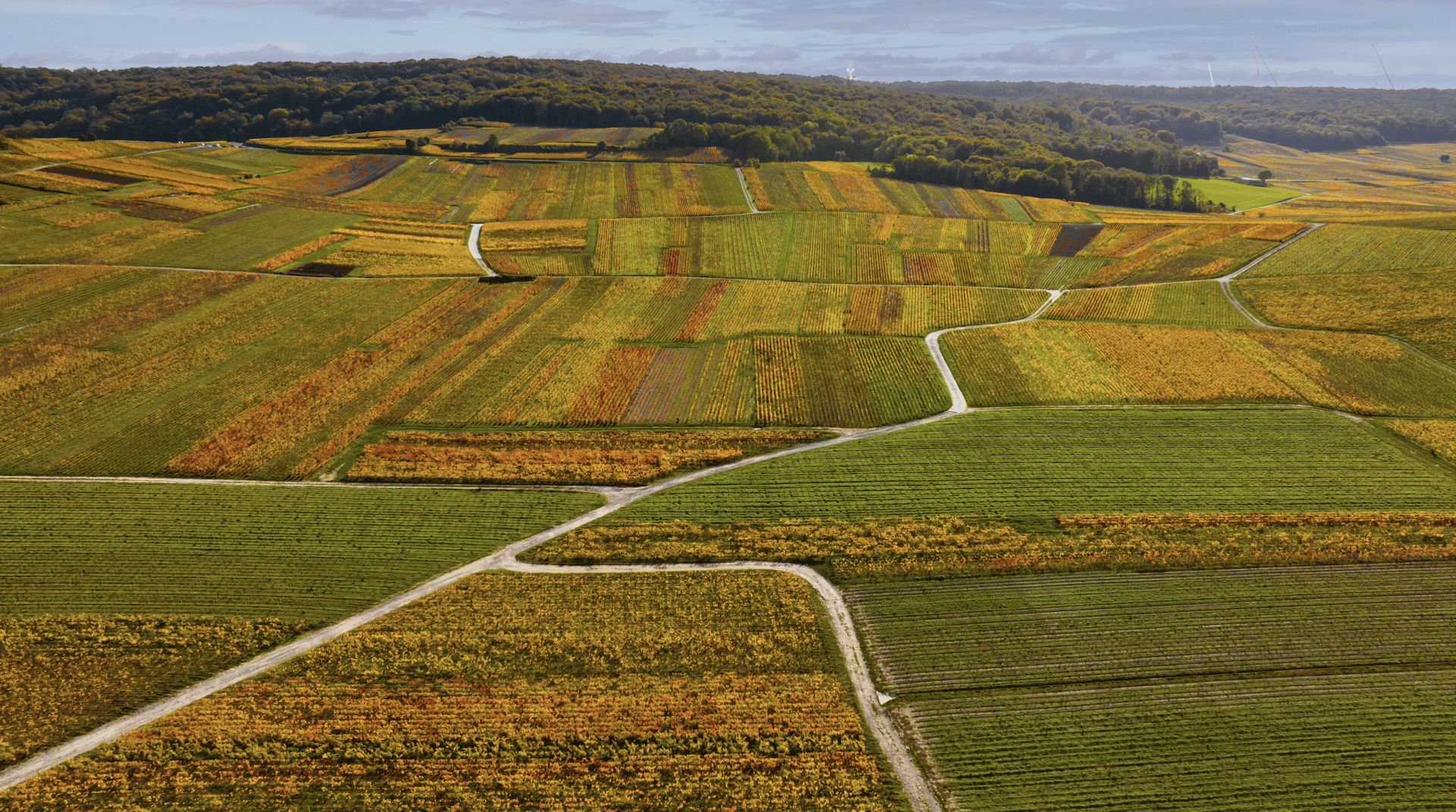 Reims et ses vignobles en hélicoptère | 30 min