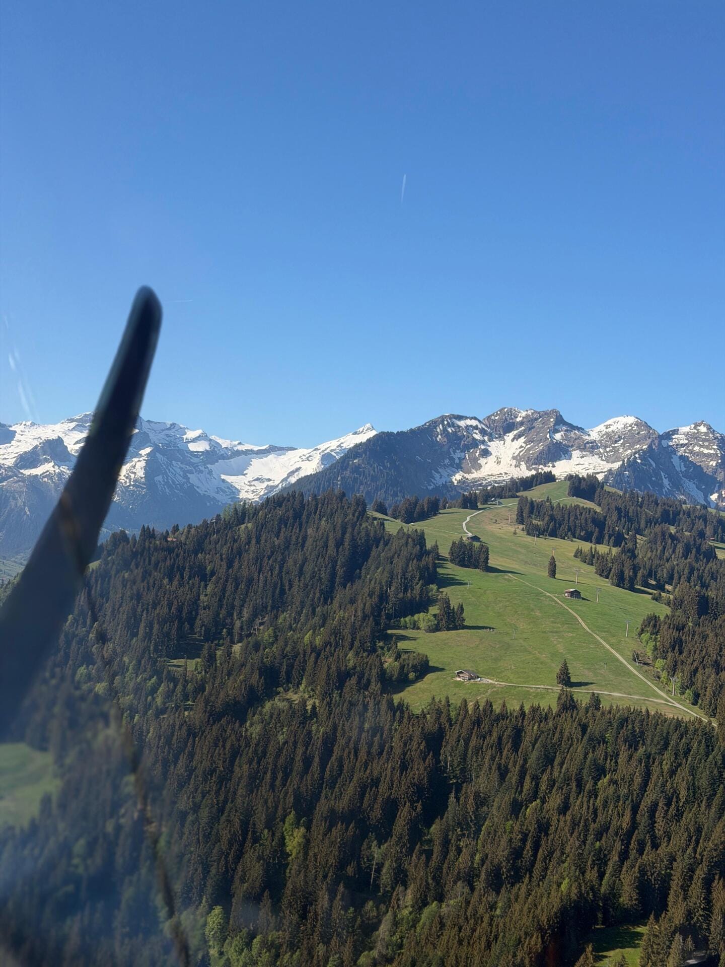 Alpine Escape to Saanen – Scenic Flight the Swiss Alps