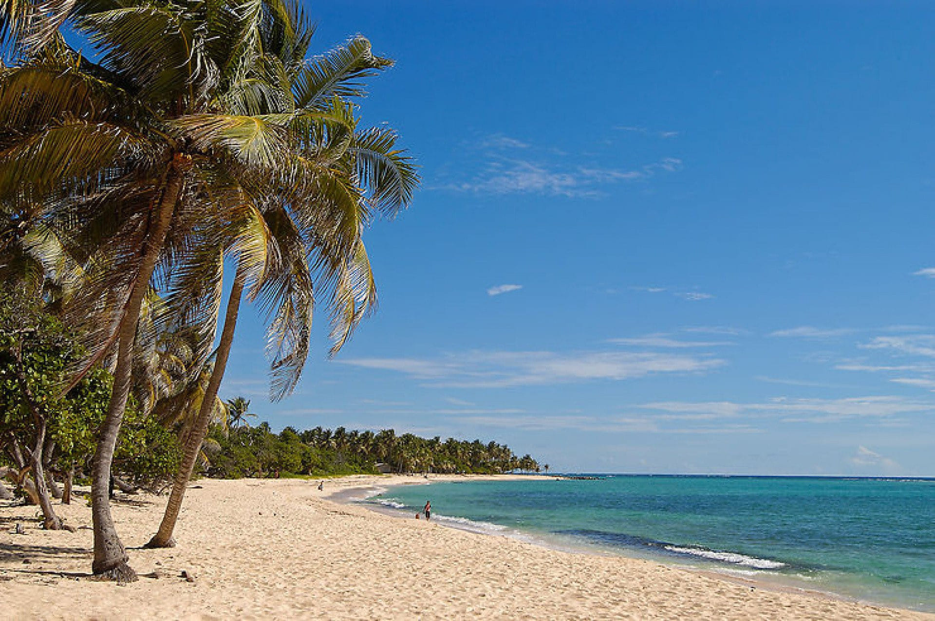 🌼🌹 Aller-Retour à Marie-Galante 🎉