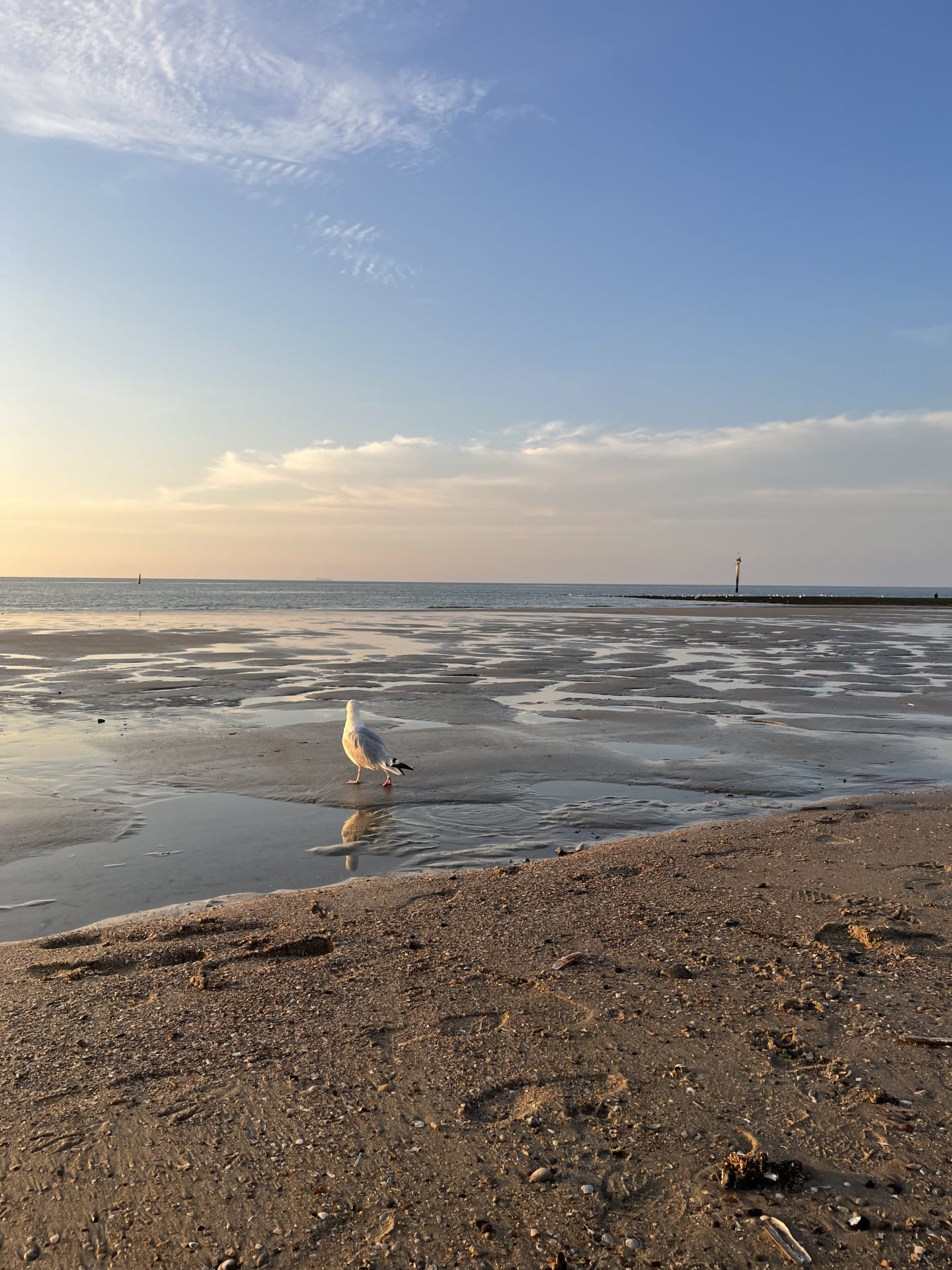 Tagesausflug nach Juist