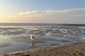 Tagesausflug nach Juist