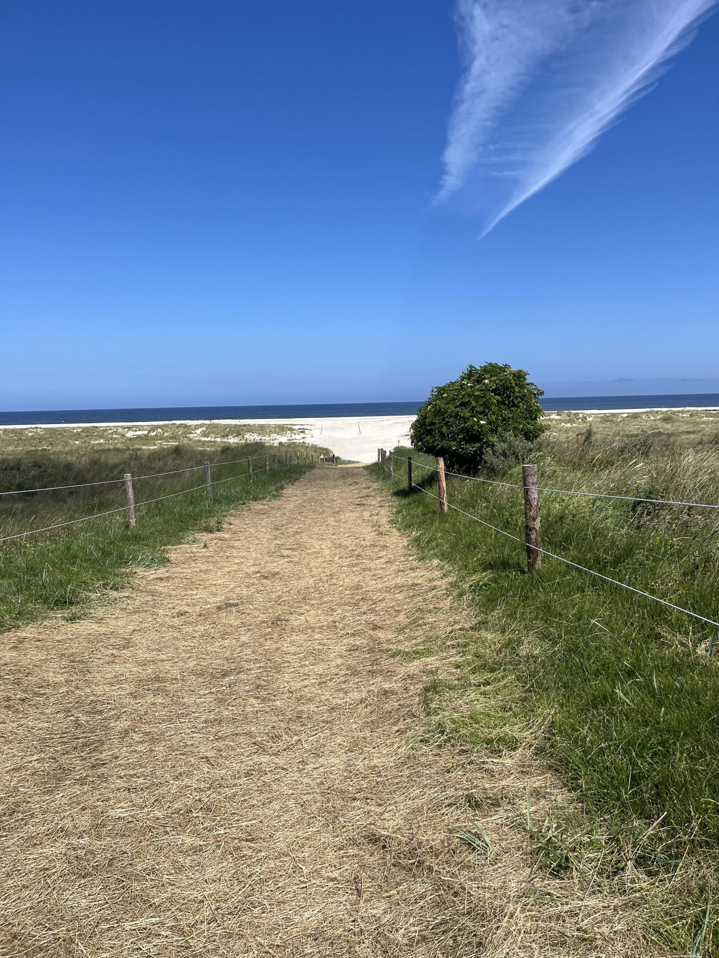 Ausflug nach Nordseeinseln
