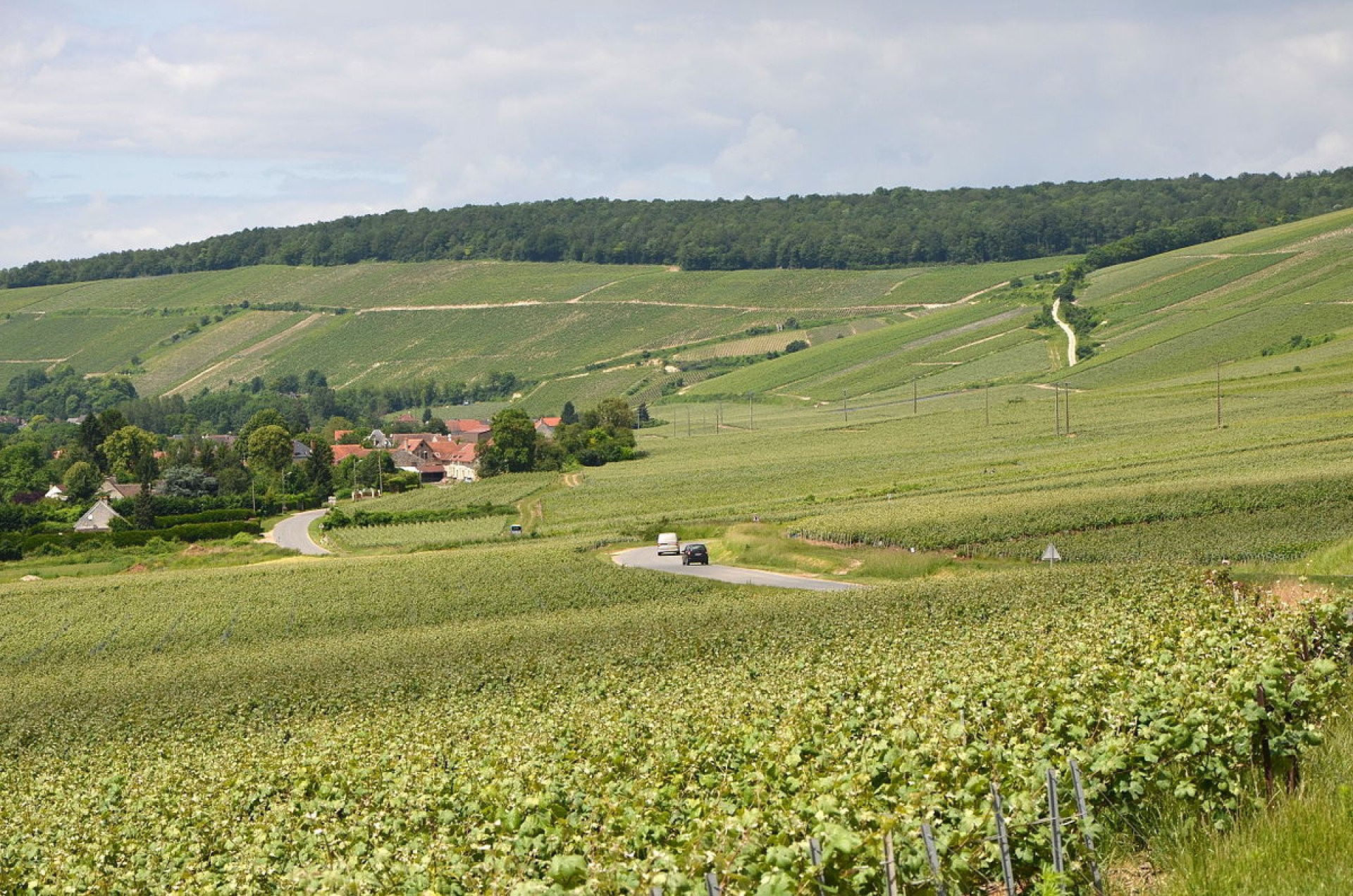 Venez faire les saumons avec moi au dessus de la Marne !
