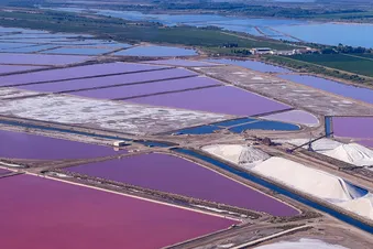 Balade aérienne à la découverte de la Camargue