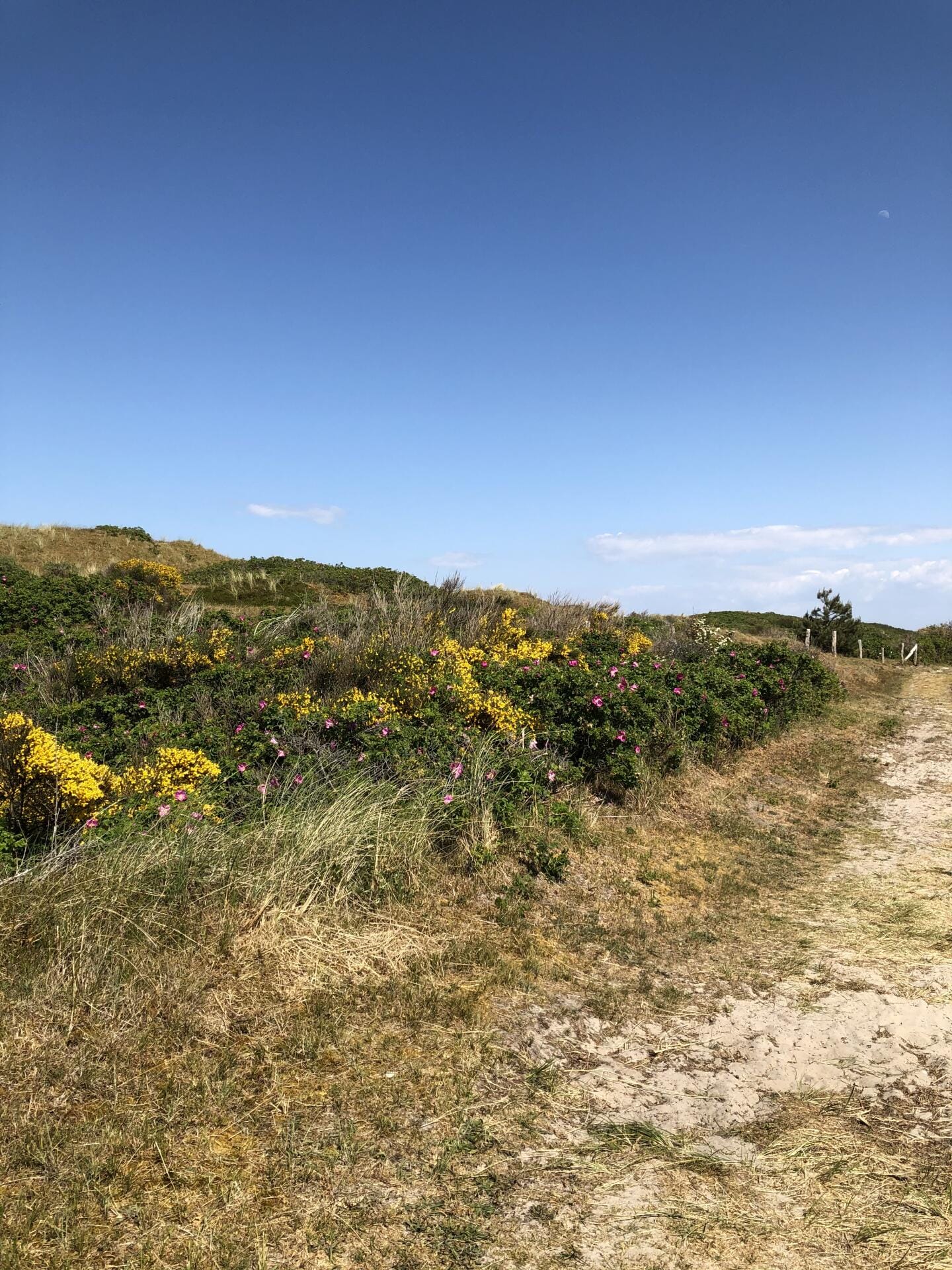 Streckenflug Wangerooge