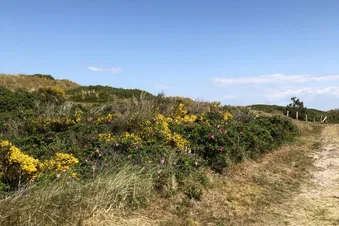 Streckenflug Wangerooge