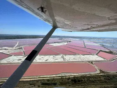 Camargue : La vie en Rose