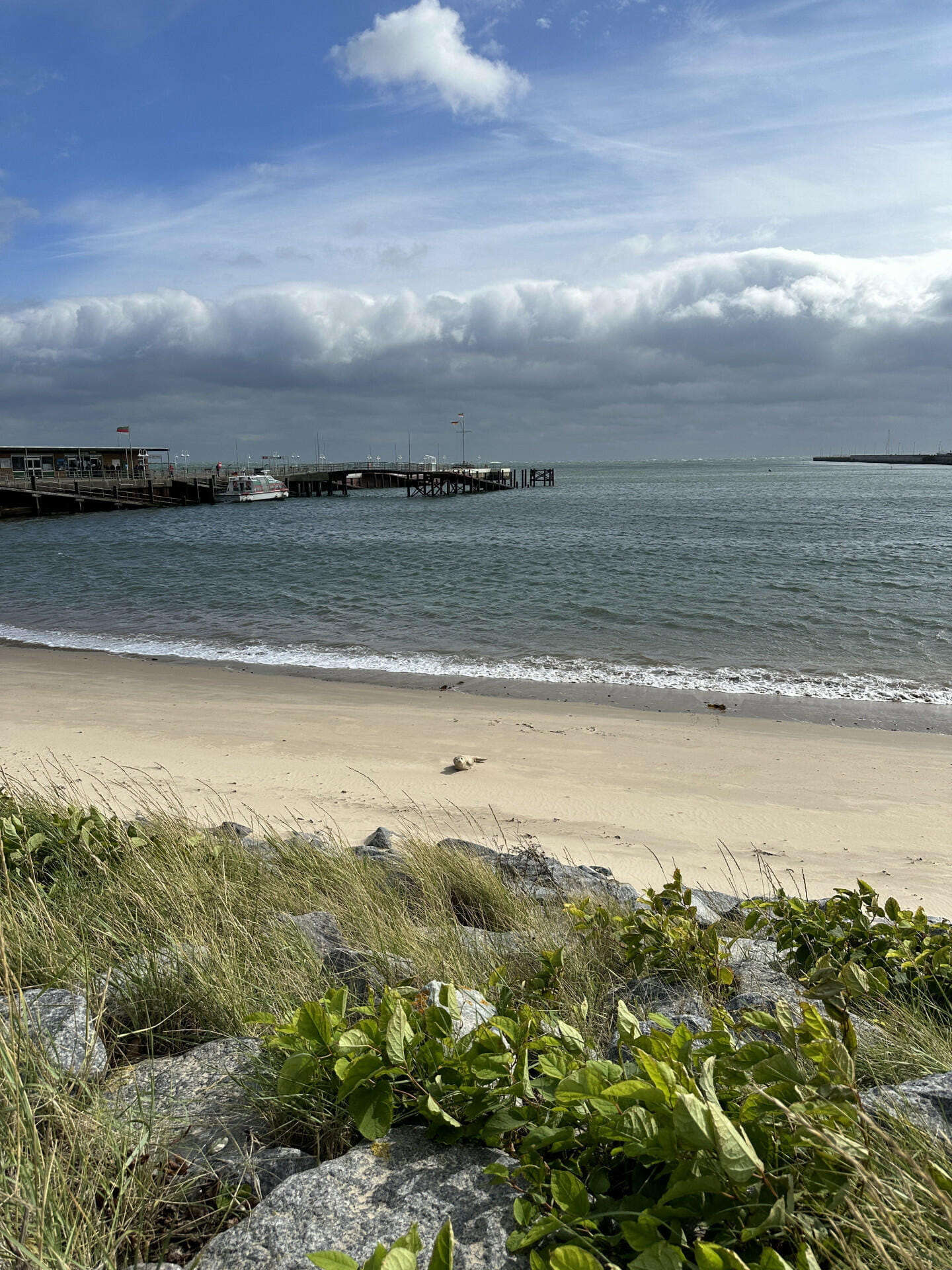 Von Berlin nach Sylt in nur 1,5 Stunden