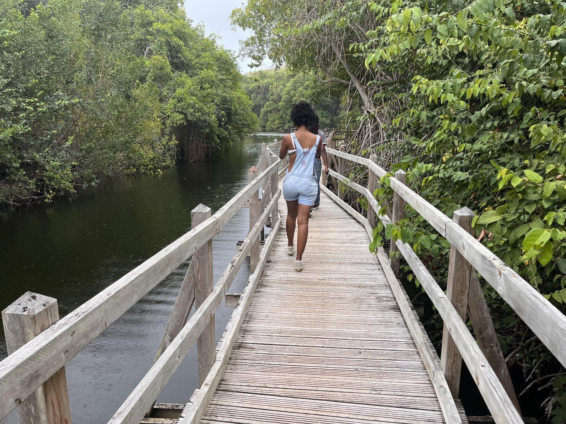 Le Marathon des îles de Guadeloupe