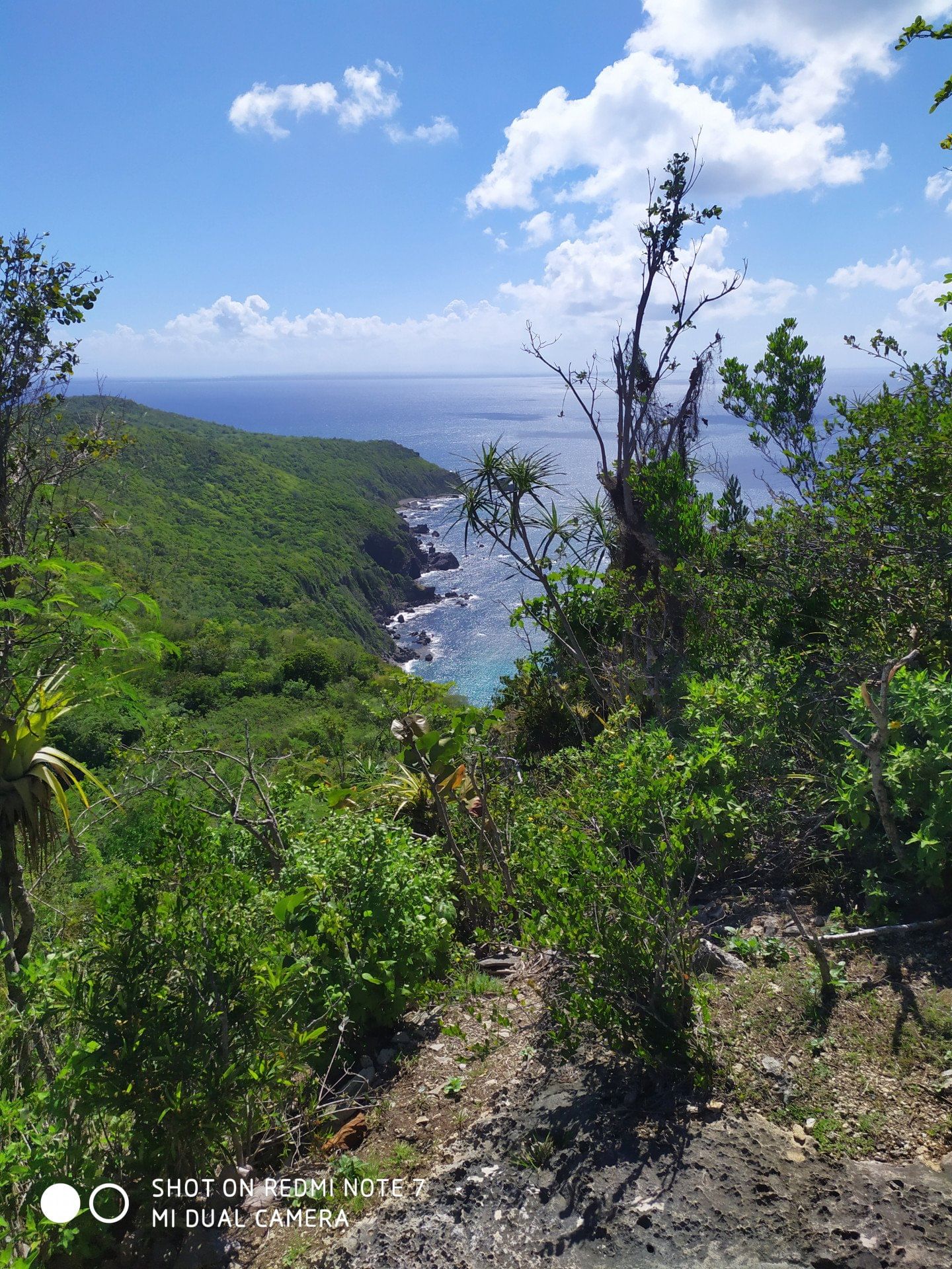 Journée/ Weekend à la Désirade