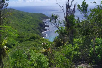 Journée/ Weekend à la Désirade