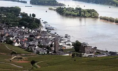 Rheingau-Rundflug, Rüdesheim etc. Tolles Geschenk!