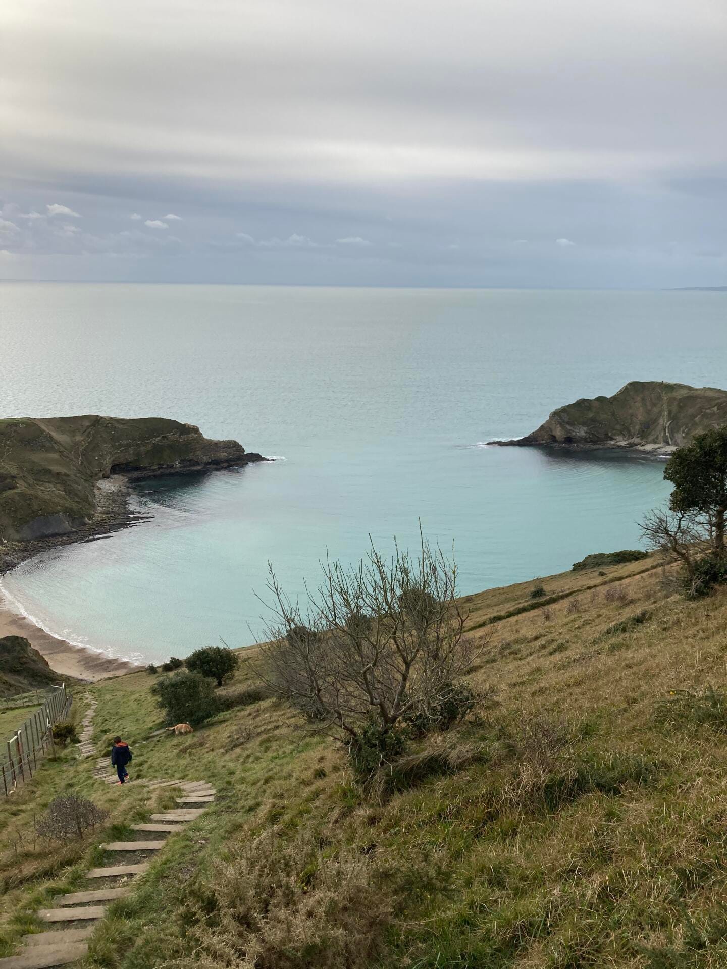 Jurassic Coast Run