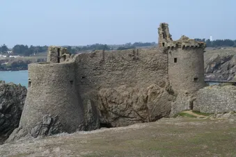 Excursion aérienne d'une journée sur l'île d'Yeu