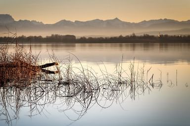 Ammersee