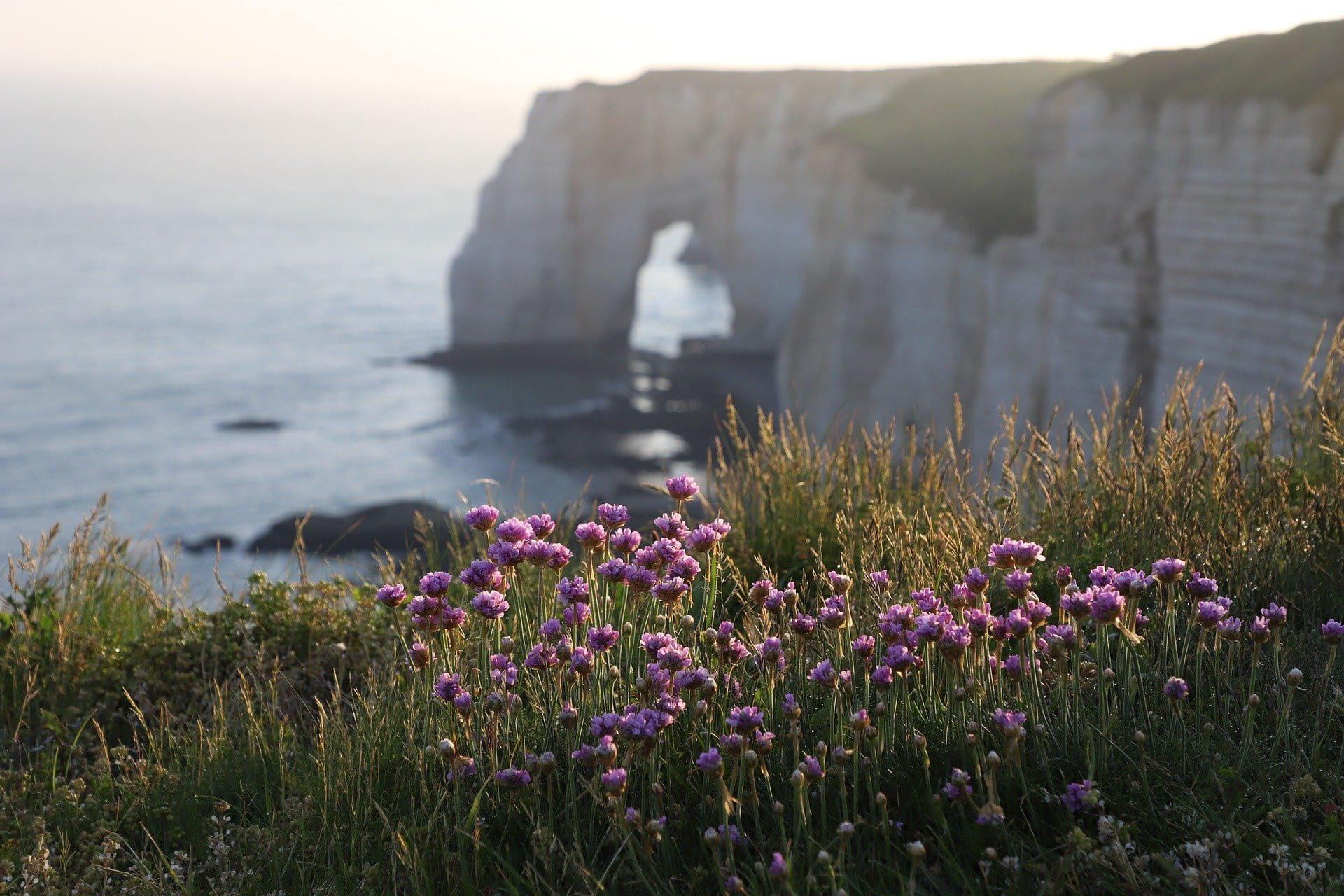 Excursion flight: Trip to Normandie