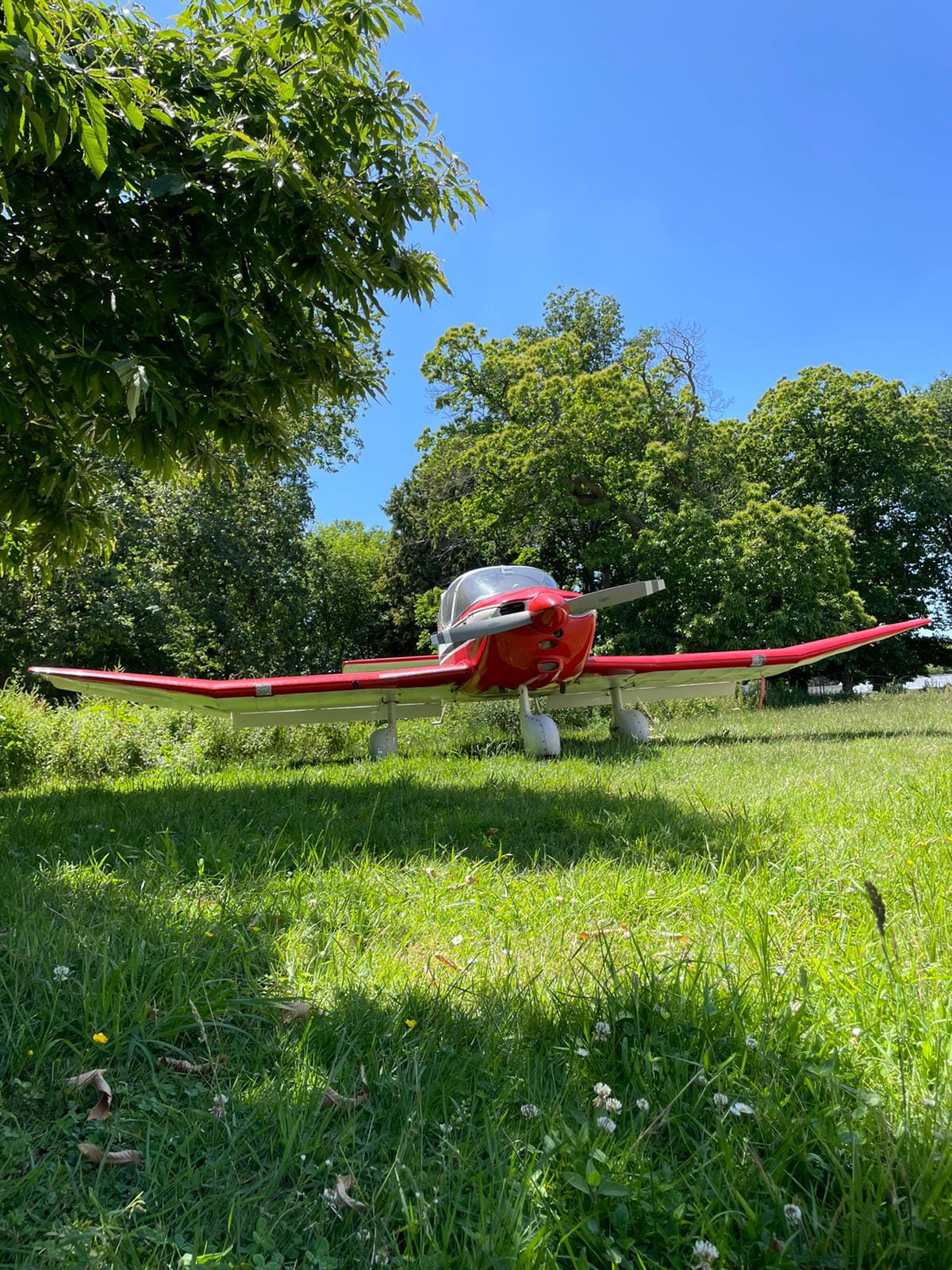 Robin DR253 - Régent