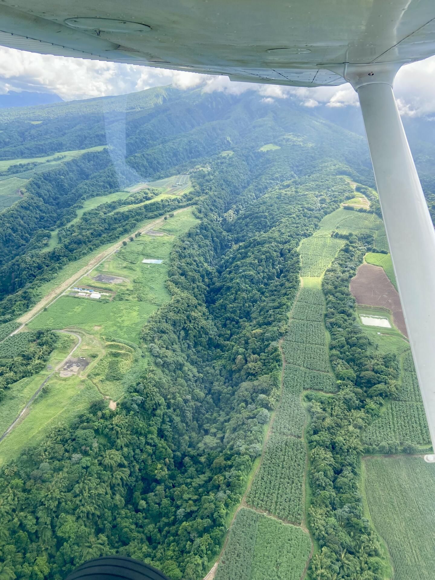Tour Nord de la Martinique ✨✈️