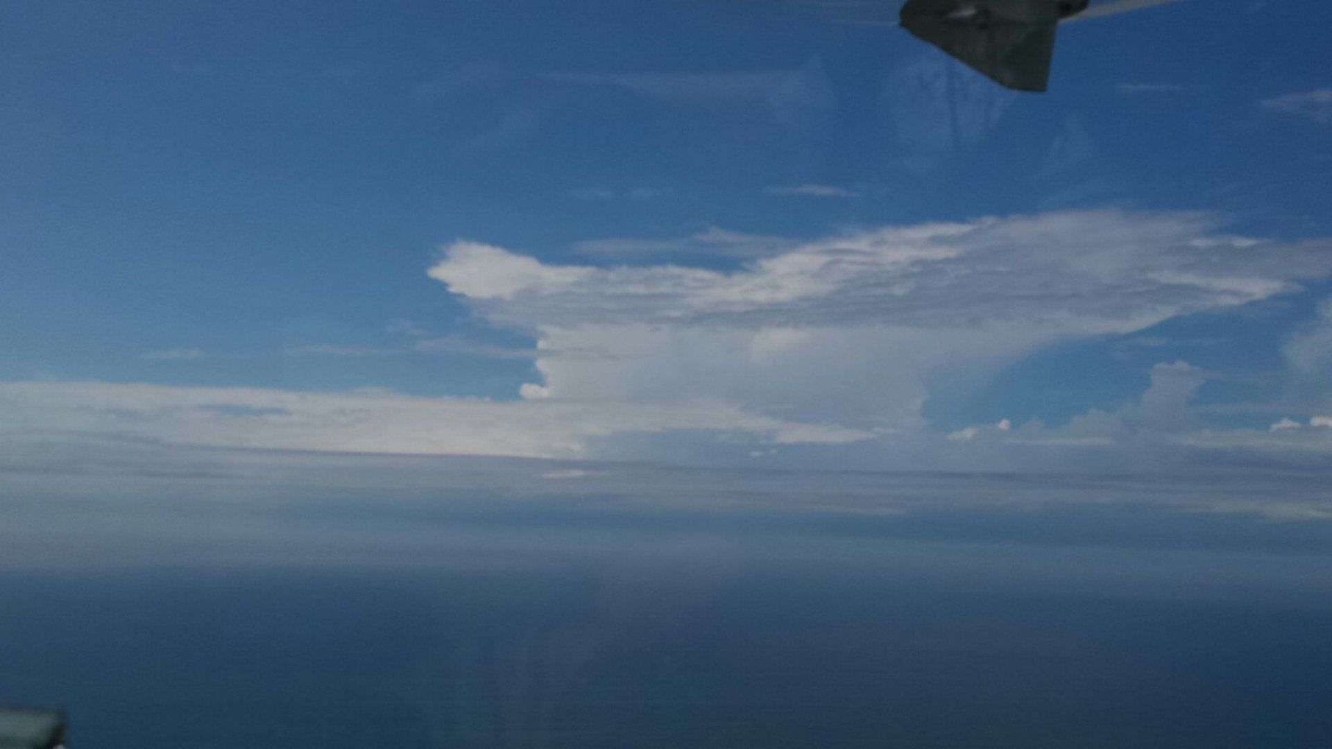 Frankfurt Weinstraße mit Burgen und Schlösser bis Heidelberg