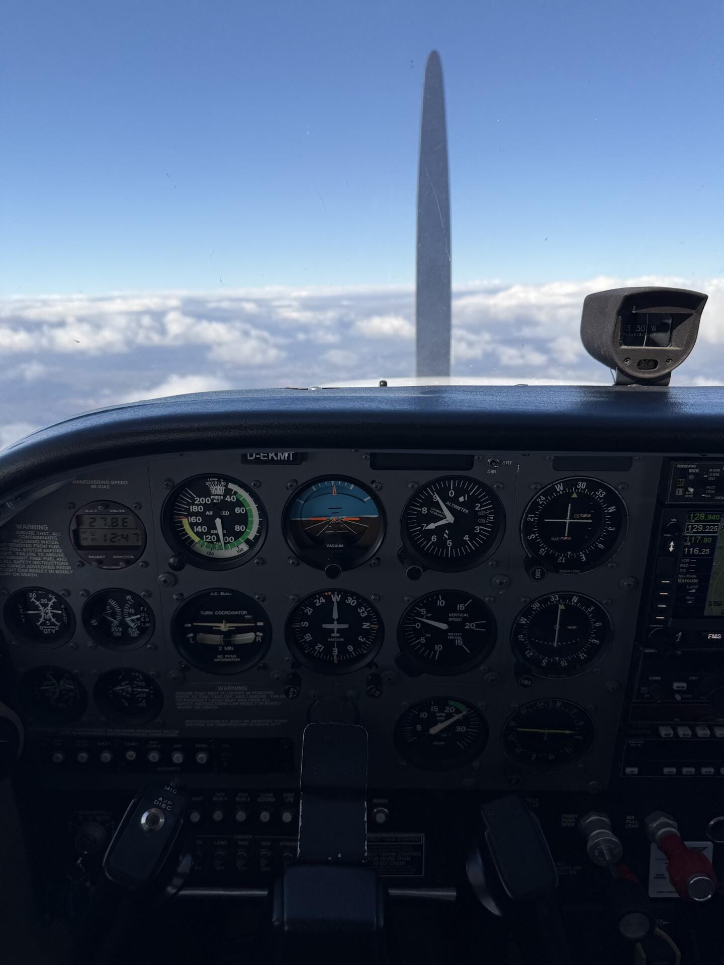 Losing fear to fly: Heidelberg, Annweiler, Mannheim