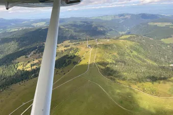 Feldberg