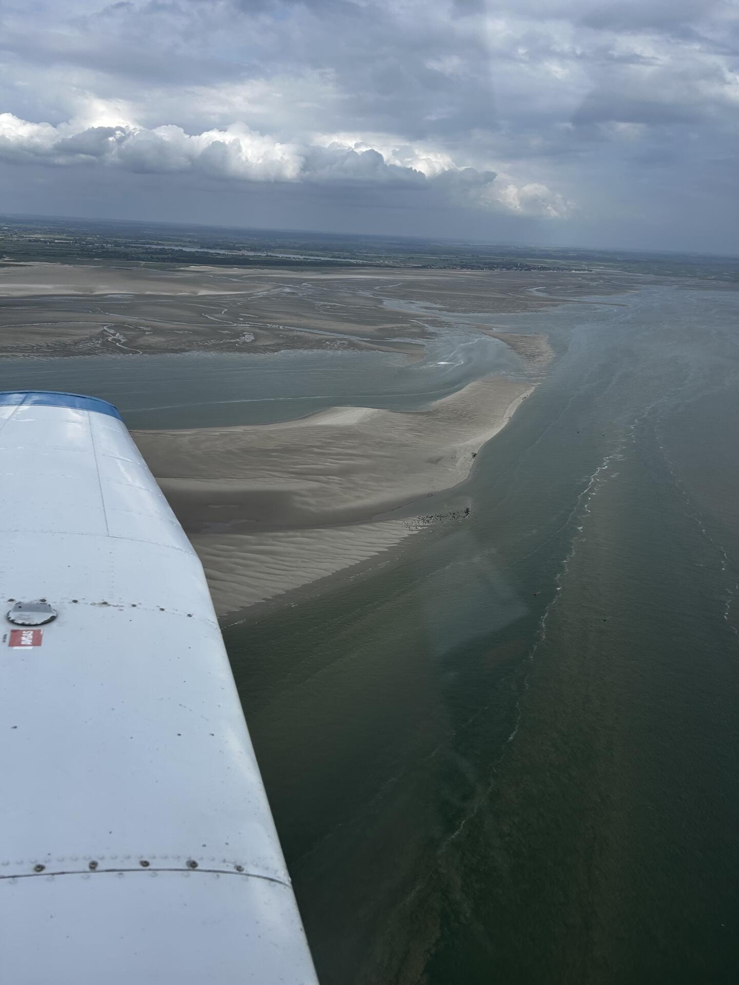 Phoque dans la baie de Somme