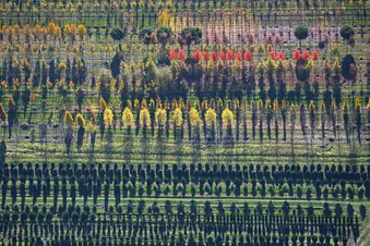 Oberpfalz Rundflug zum Steinwald - 45 Min