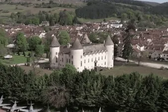Chateau de savigny les beaune