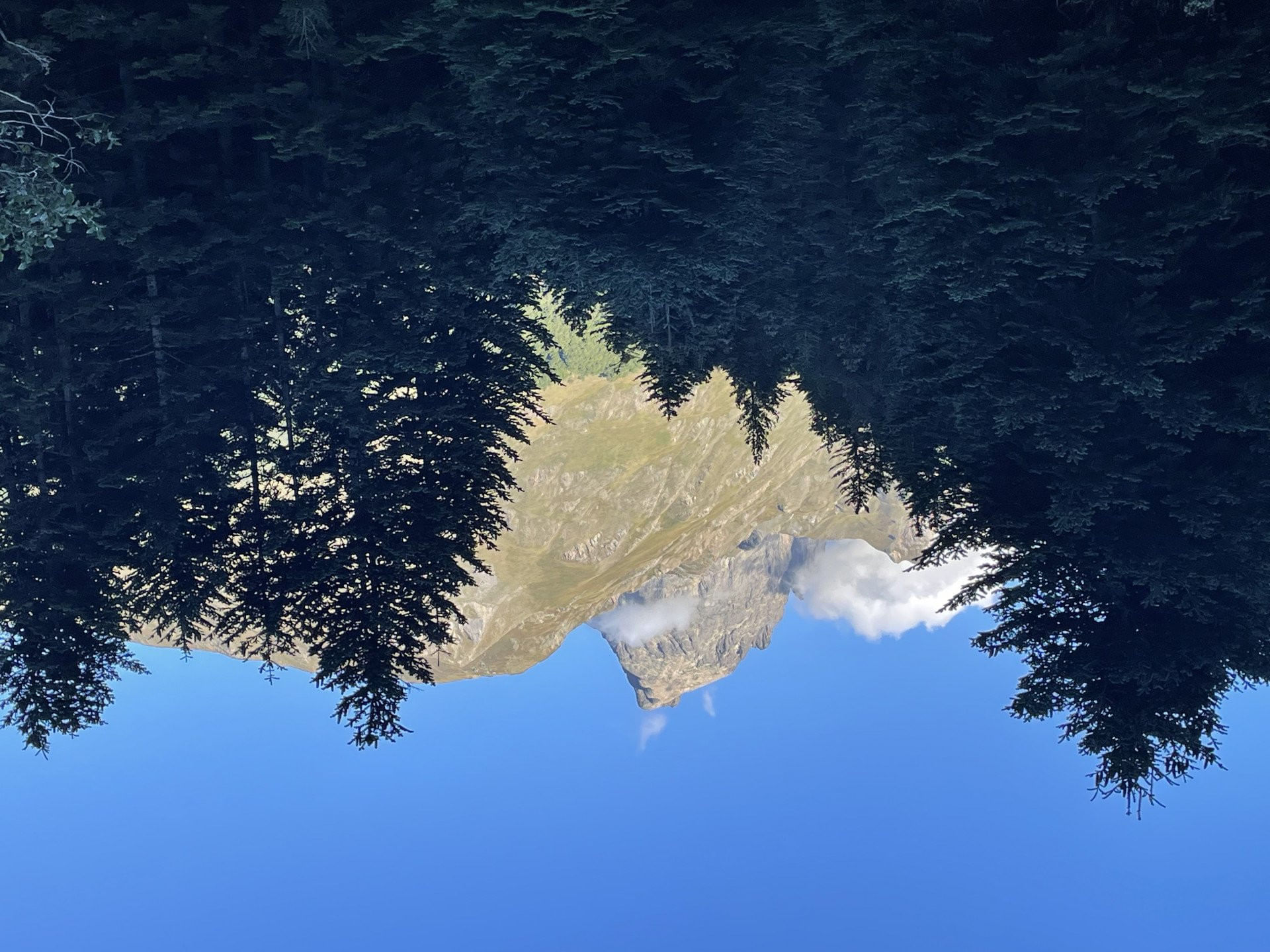 Fabuleuse vallée d’Ossau :  inoubliable !