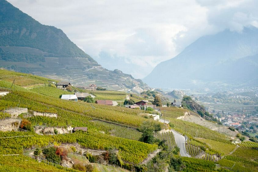 Le Vignoble du Valais en Hélicoptère - Vol Privatif