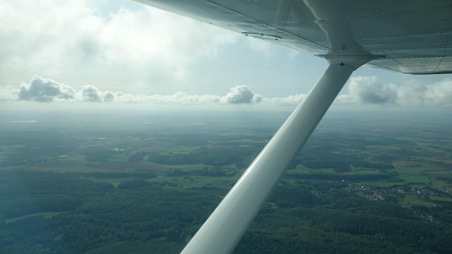 Einfach mal das Fliegen erlegen