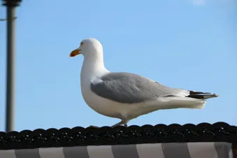 Norderney für einen Tag