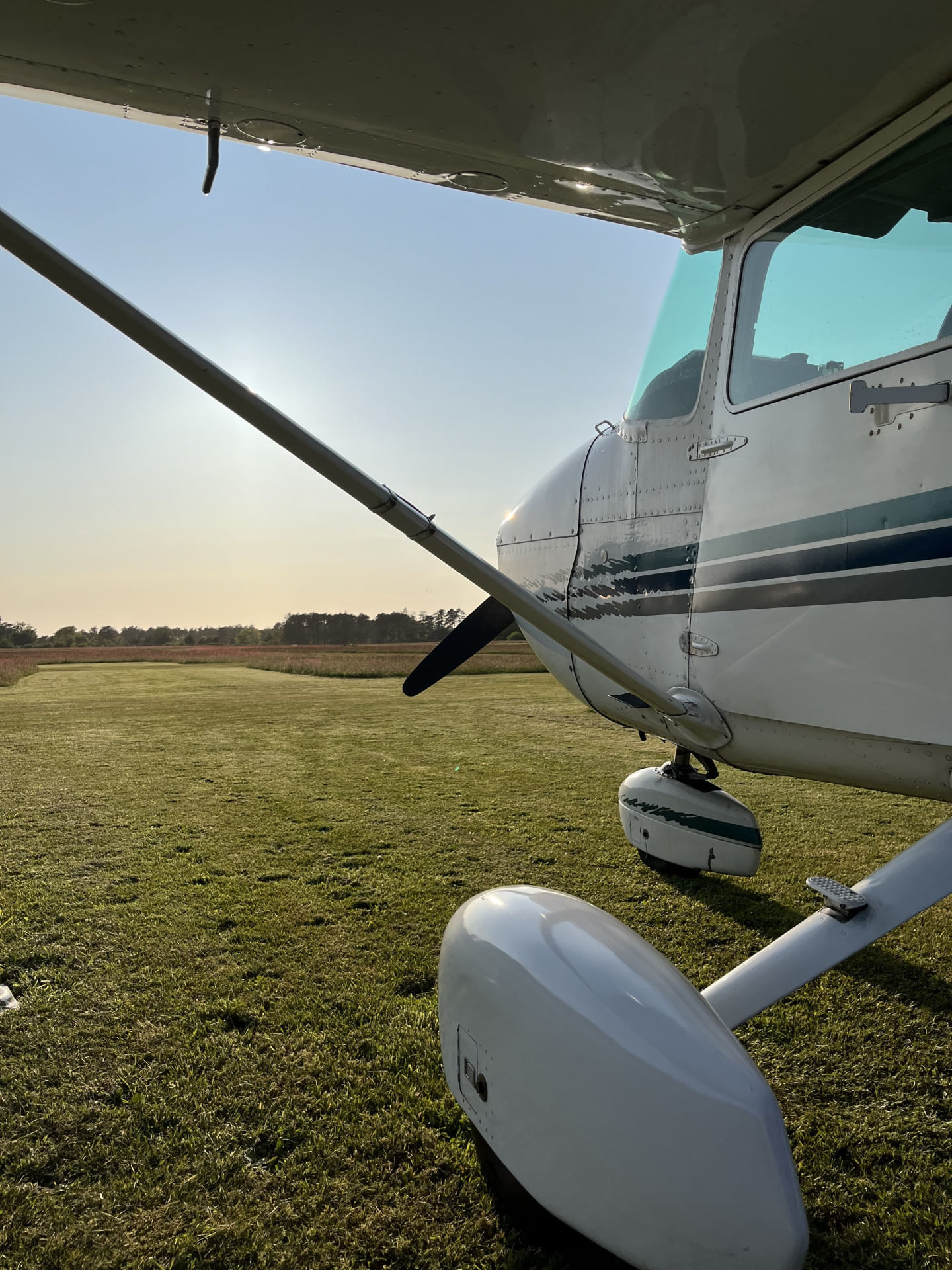 Tagesausflug nach Wyk auf Föhr