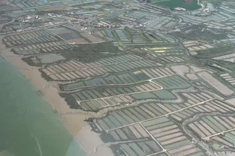Les marais salants le long de la Seudre
