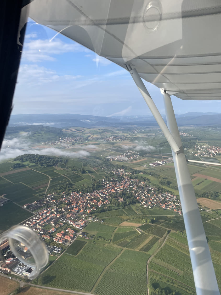 Mont Saint Odile