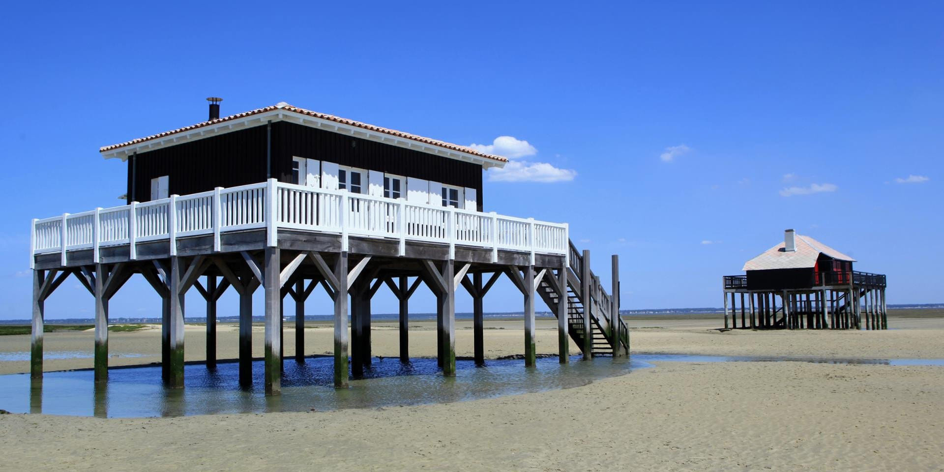 Vennez passer un weekend sur l'île aux oiseaux !