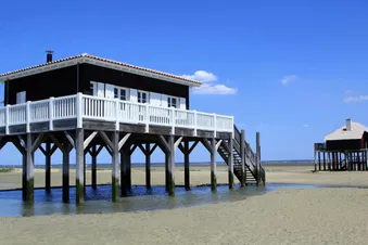 Vennez passer un weekend sur l'île aux oiseaux !