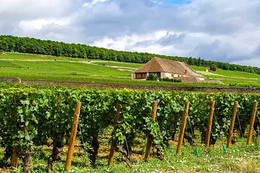 Beaune et ses alentours en hélicoptère - 30 min