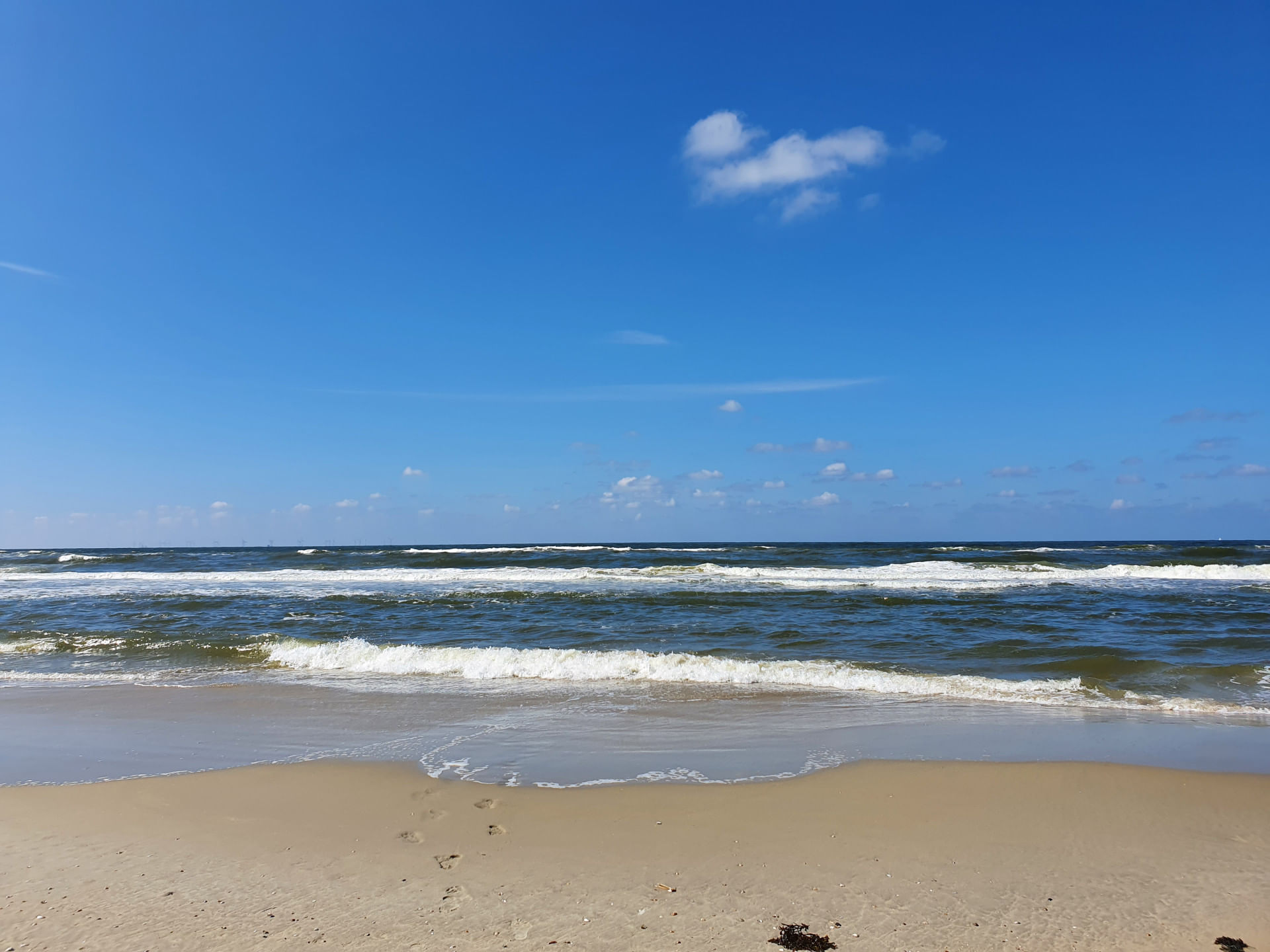 Tagesausflug nach Borkum