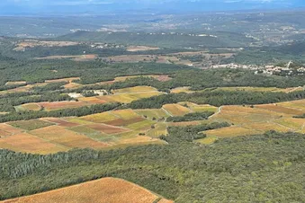 Paysages de printemps en route