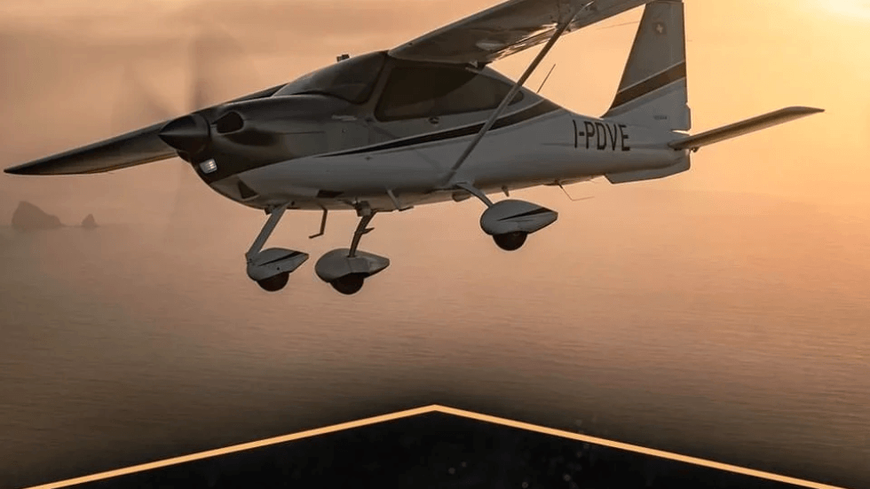 Tecnam P 2010